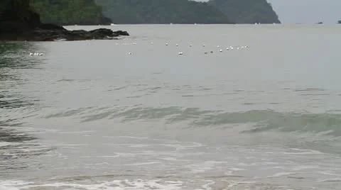 Wave And Floaters Video stock 11133975