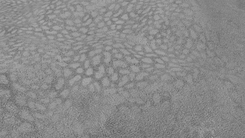 Wave animation Stock-Footage 166119817