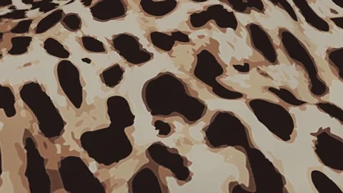 Wave animation Stock-Footage 166120019