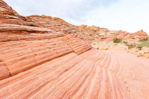 The Wave of Arizona Stock Photos