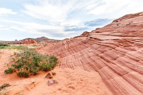 The Wave of Arizona Stock Photos