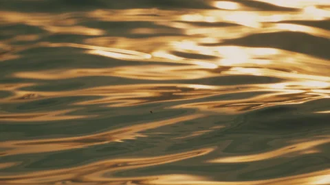 Wave background at golden hour Stock Footage 256504862