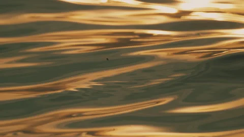 Wave background on the sunset Stock Footage 244071440