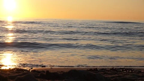 Wave at the beach Stock Footage 122337293