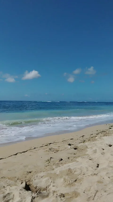 Wave in the beach Stock Footage 334773254