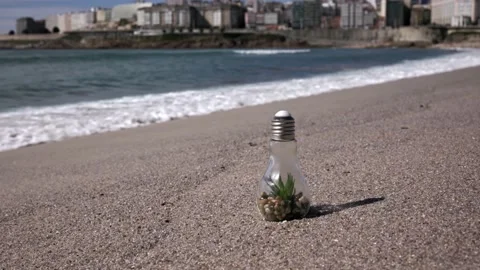 A wave blows away a light bulb that stands on the sand Stock Footage 221805155