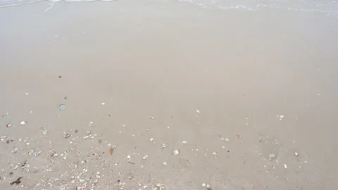 Wave with blue ocean beach. Video stock 147706612