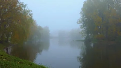 Wave branches are swinging in the wind. Strong fog in the old city park. Duck Stock Footage 152592505