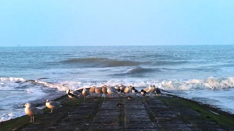 Wave Breaker Stock Footage 98679218