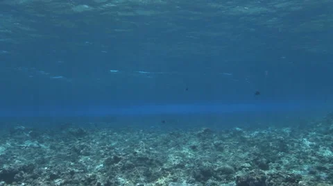 Wave Breaking Stock Footage 53340684