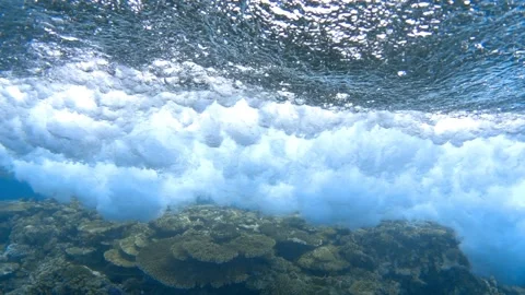 Wave breaking over coral reef underwater, slow motion Stock Footage 169820465