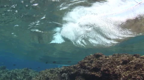 Wave Breaking on Reef Stock Footage 53322049
