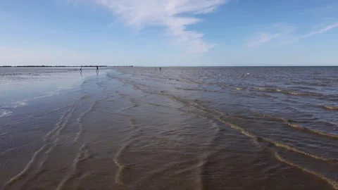 Wave breaking on the sandy beach with shells. Stock Footage 318467715