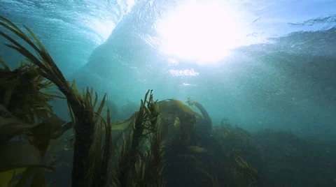 Wave breaking from under the water. Stockbeeldmateriaal 49788470