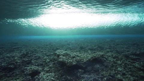 Wave Breaking Underwater From Behind - Crystal Clear Water Stock Footage 128116536