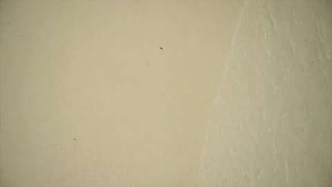 A wave breaking on a white sand beach Stock Footage 146972058