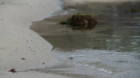 Wave breaks on Sandy shore Stock Footage 21550935