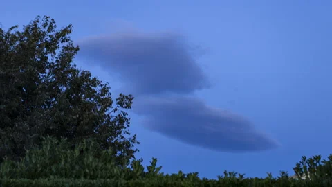 Wave clouds above a tree Timelapse Stock Footage 142085195