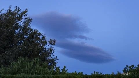 Wave clouds above a tree Timelapse close Stock Footage 142085378