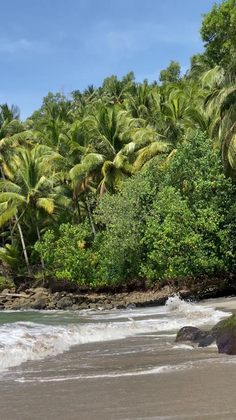 Wave at the coast Video stock 198365229