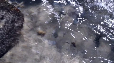 Wave coming into the rocks Video stock 45994580
