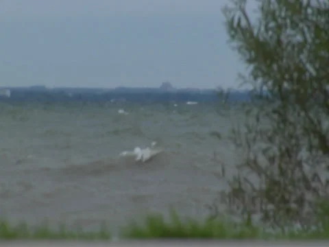 Wave crash spraying to the left during a storm Stock Footage 38631077
