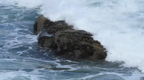 Wave crashes over rock covered with mussles in the sea Stock Footage 33512150