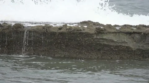 Wave crashes rock Stock Footage 193993364