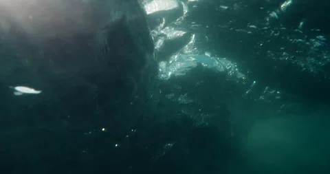Wave Crashes from Underwater Stock Footage 262087476
