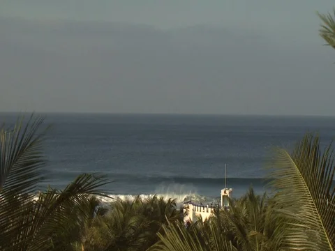 WAVE CRASHING WHILE PALM TREES WAVE Stock Footage 76584567