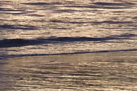 Wave in evening 스톡 동영상 10734742