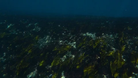 Wave exploding underwater 動画素材 127630561