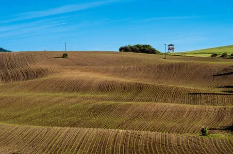 Wave field Stock Photos