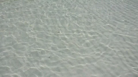 Wave &amp; fish 库存影片 838511