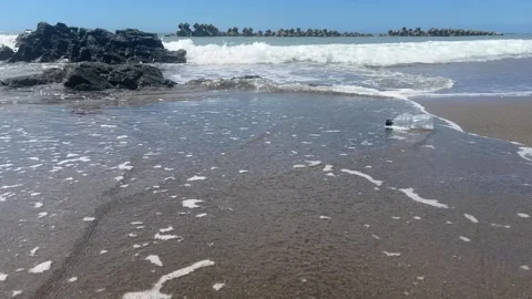 Wave floating an empty plastic bottle off a beach into the sea Stock Footage 247897065