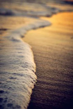 Wave with foam at sunset 스톡 사진