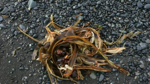 Wave Stock-Footage 587737