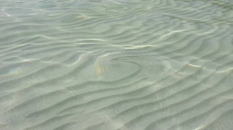 Wave 库存影片 838528