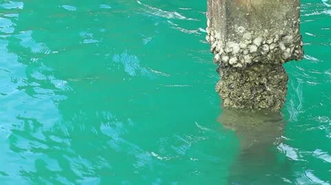 Wave Stock Footage 22232816