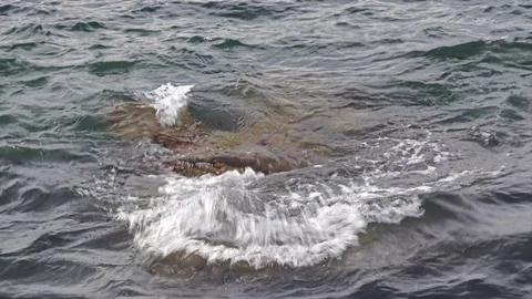 Wave Stock Footage 113707767