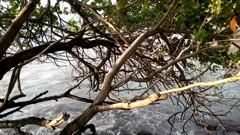 Wave Stock Footage 227357813