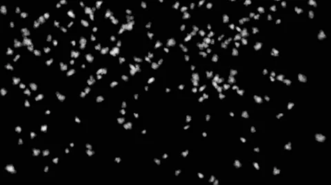 Wave form particle 3D render look like spider web smooth flowing Video stock 67993364