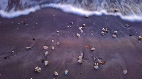 A wave gently washes over the sandy shoreline Stock Footage 108197871