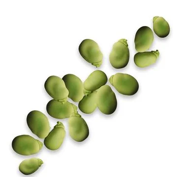 Wave of green beans on a white background. Isolated image. Stock Photos
