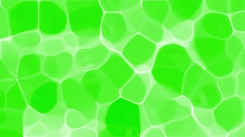 Wave green caustics Background. Organic abstract white caustic water liquid r Stock Footage 157562979