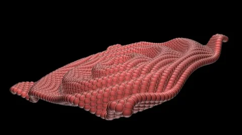 Wave (HD+Loop) Vidéo 7743336