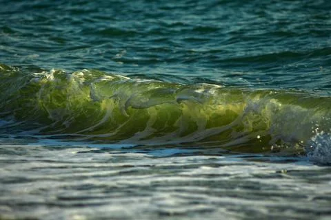 The wave highlighted by the sun Stockfoto's