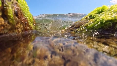 A wave hits the camera and it remains underwater Stock Footage 308314474