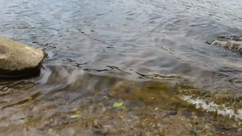 Wave hits sandy shore on not sunny summer evening Stock Footage 134071119