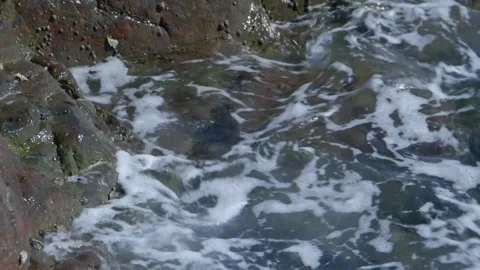 Wave hitting rocky shoreline, rock and moss Stock Footage 295918375
